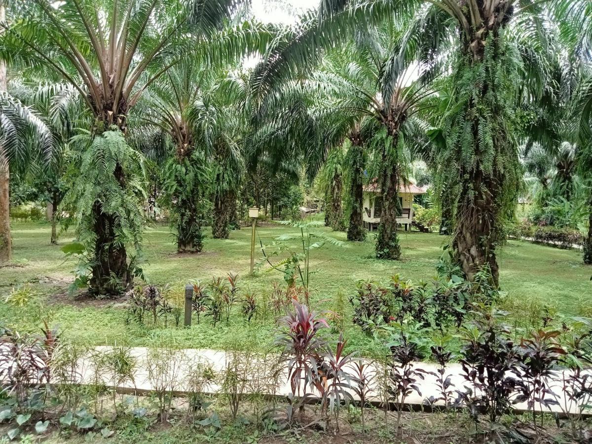 Resort Khao Sok Palm Garden 2*
