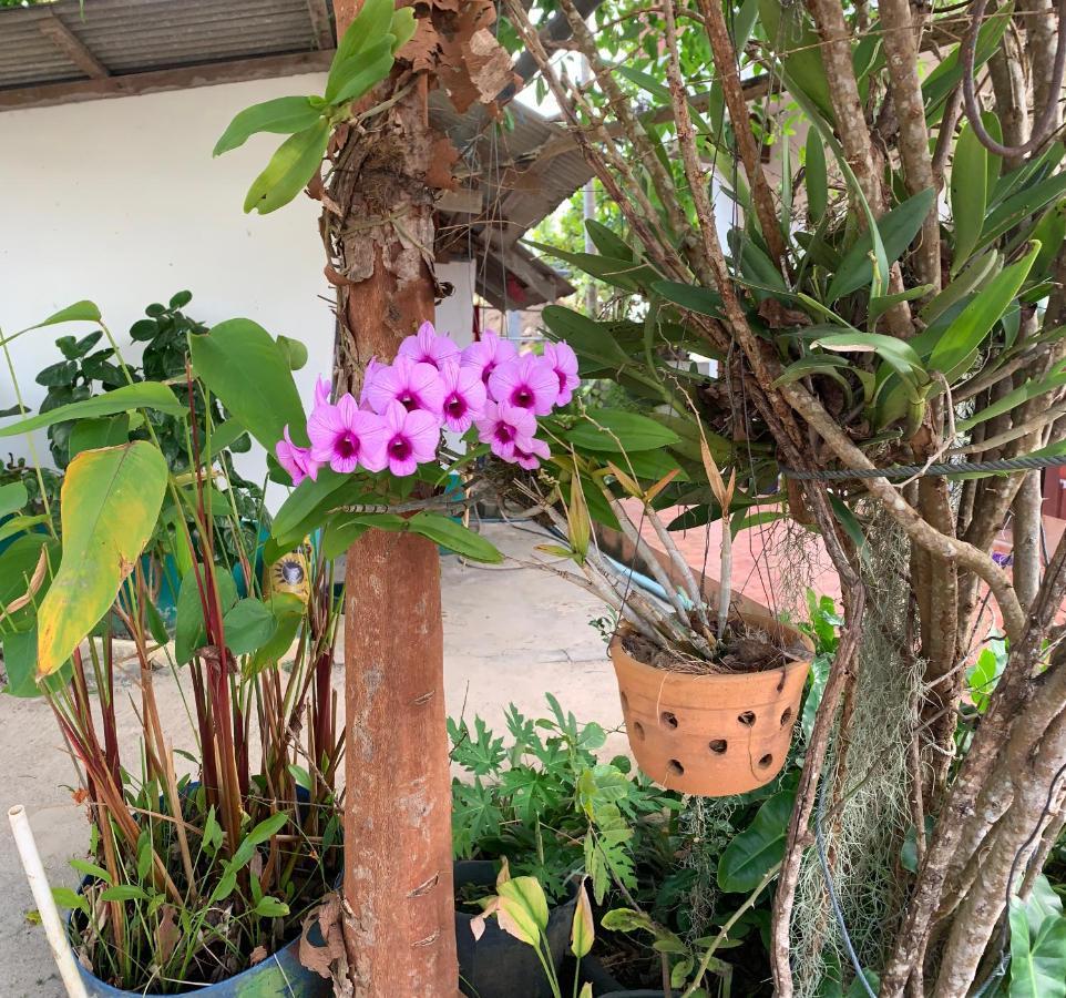 Pimmada Hut Resort 3*