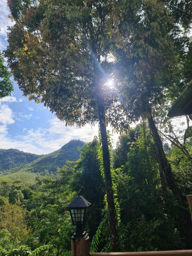 Chestnut Hill Eco Had Yai Hotel Hat Yai