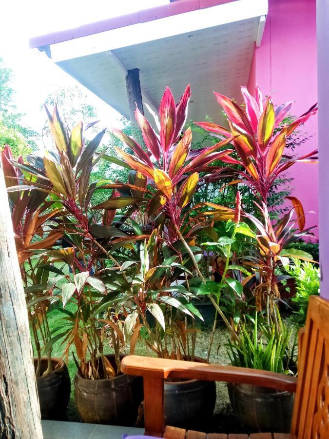 Guest house Suwantana Lanta