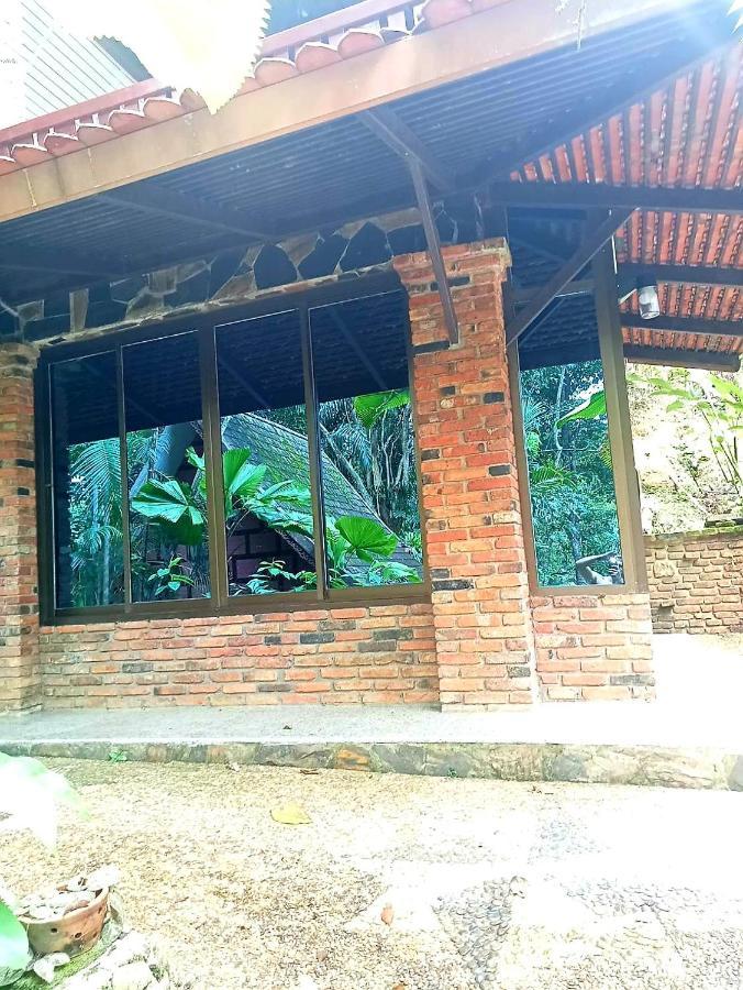 Khao Sok Orquideas