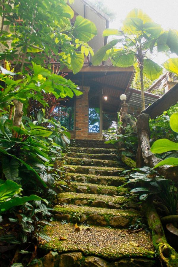 Khao Sok Orquideas