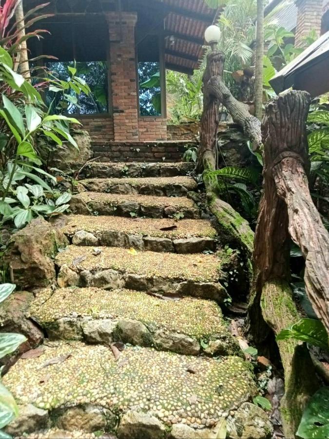 Resort Khao Sok Orquideas