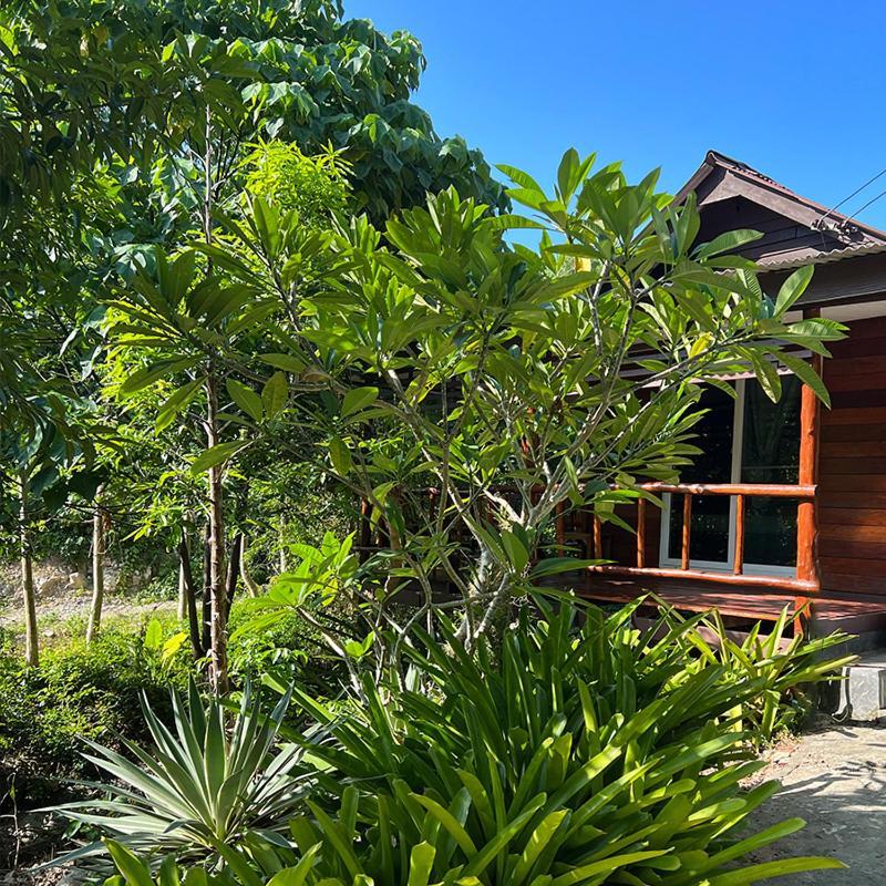 Siam Lanta - Sha Extra Koh Lanta