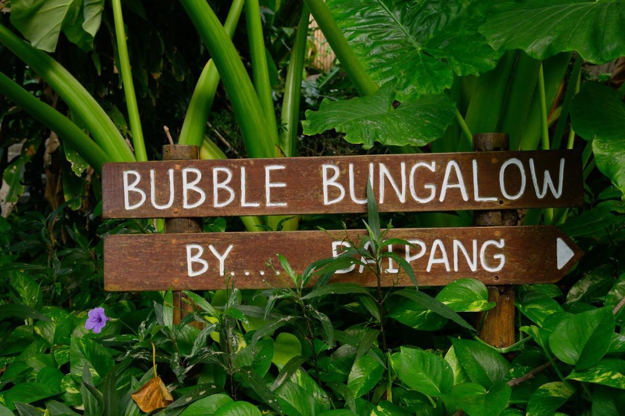 Bubble Koh Tao