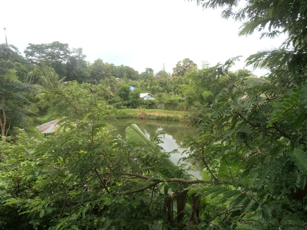 Resort Oasis