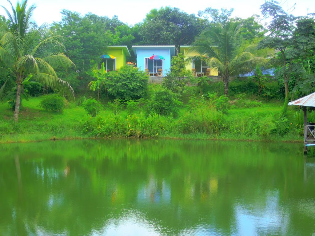 Oasis 2*