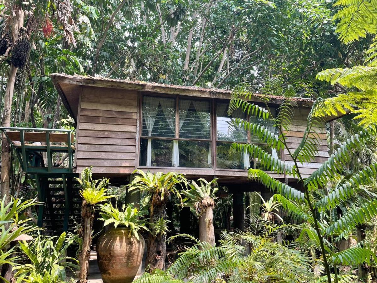 Fern Paradise 3*