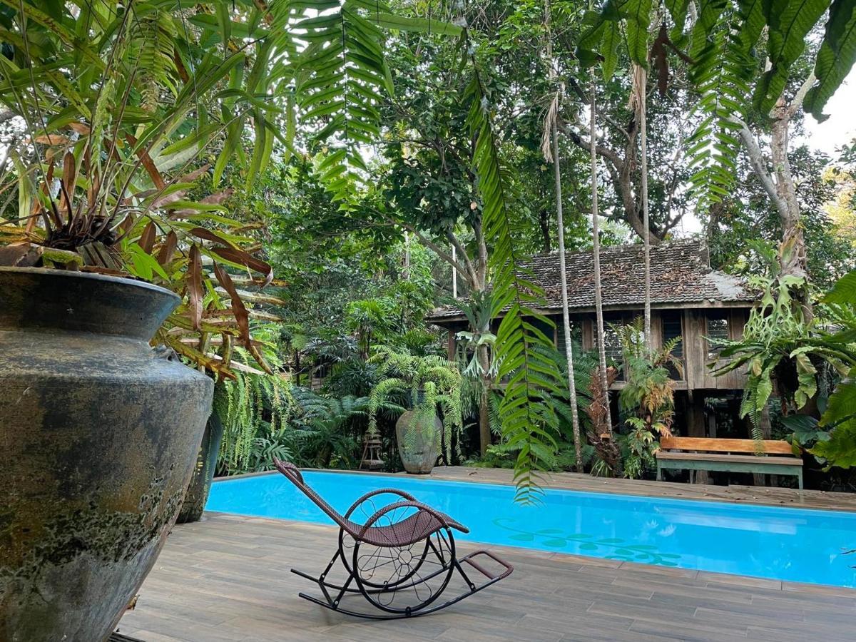 Resort Fern Paradise