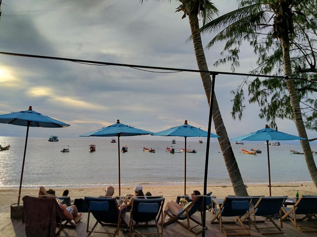 Seashell Koh Tao