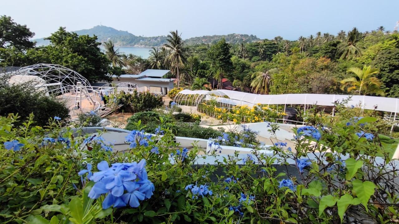 Resort So Good