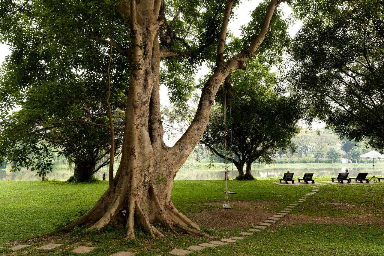 The Legend Boutique River & Resort Chiang Rai