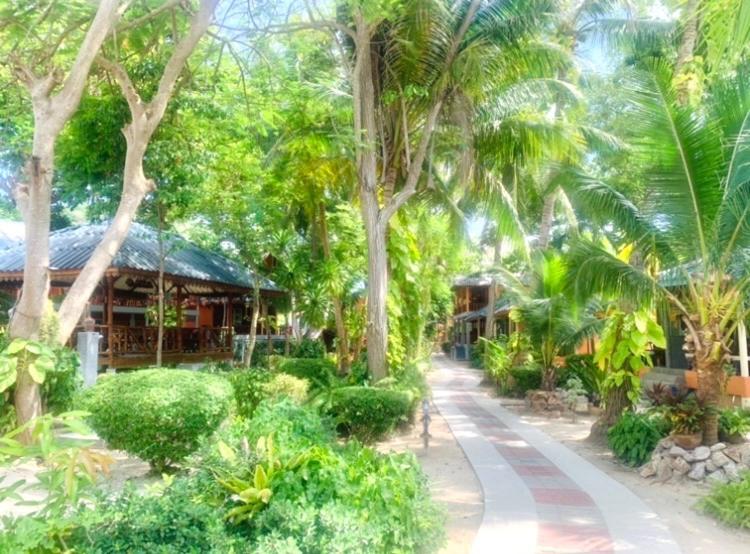 Hotel Tropicana Koh Tao