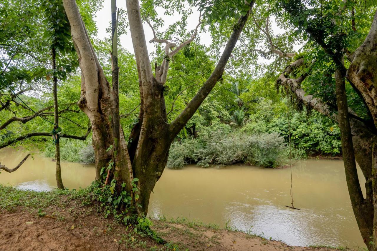 Khao Sok River