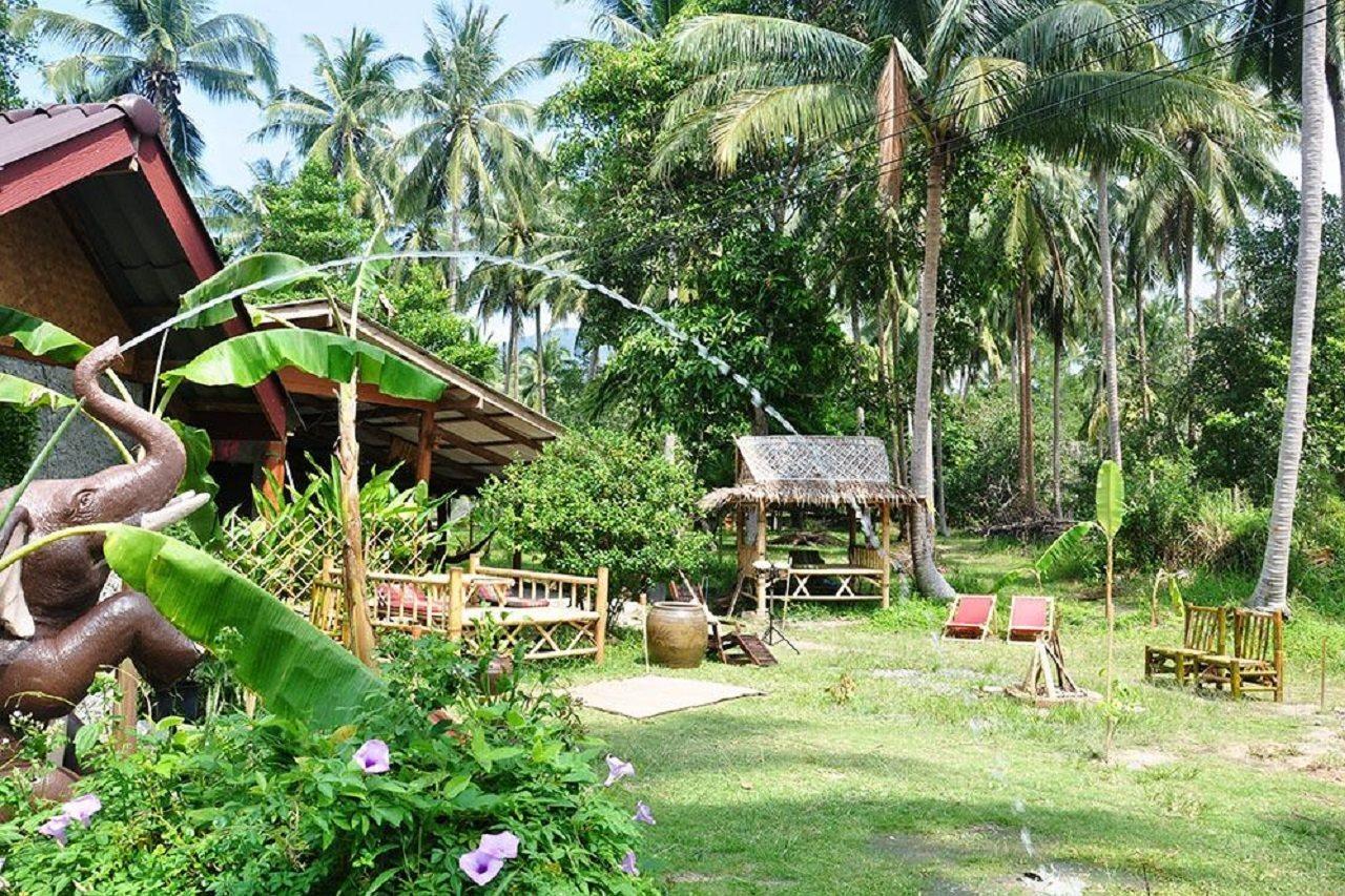 Jungle Garden 2*