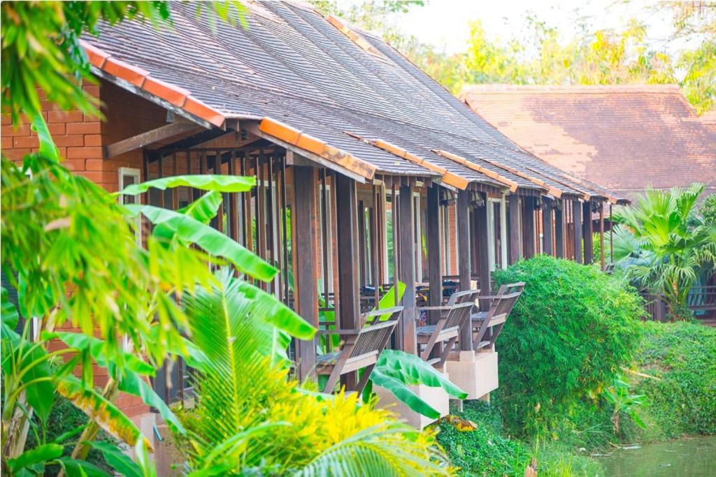 Resort Golden Pine And