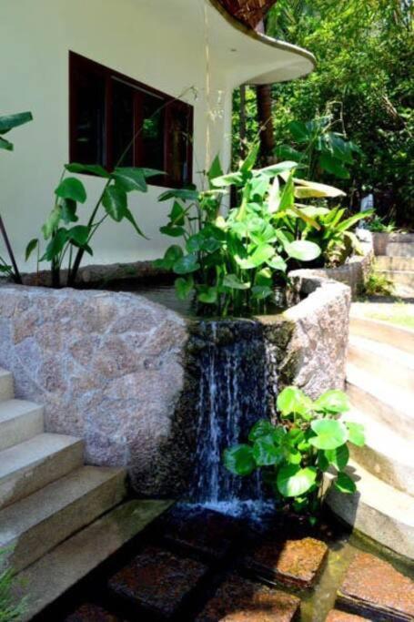 Villa Monkey Flower *