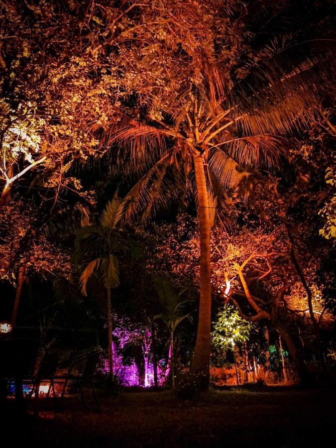 The Wild Side * Baan Tai