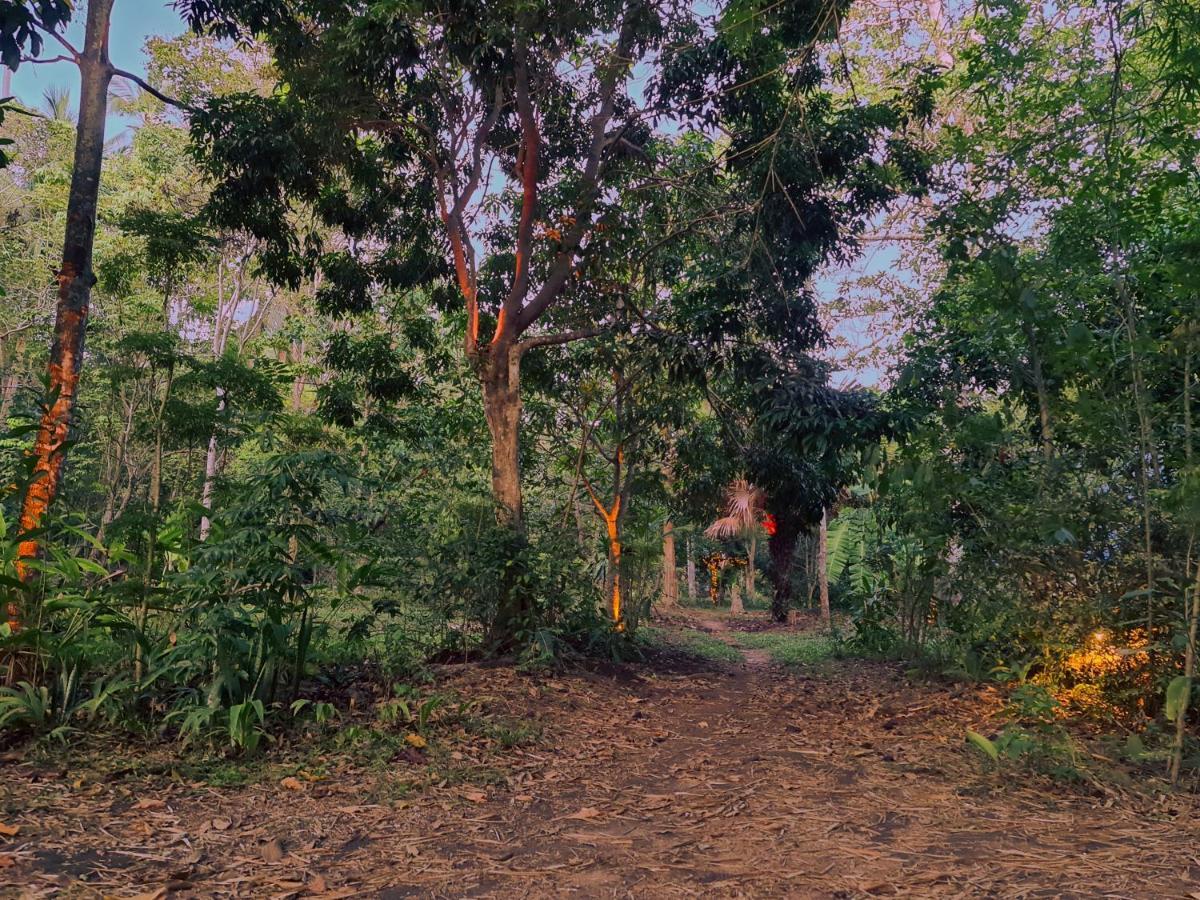 Inn The Wild Side Baan Tai