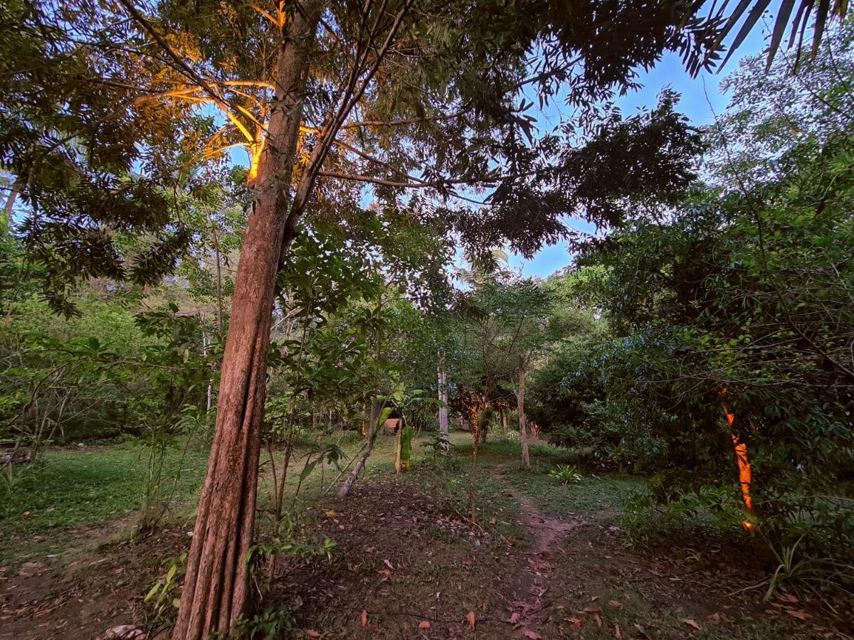 The Wild Side Baan Tai
