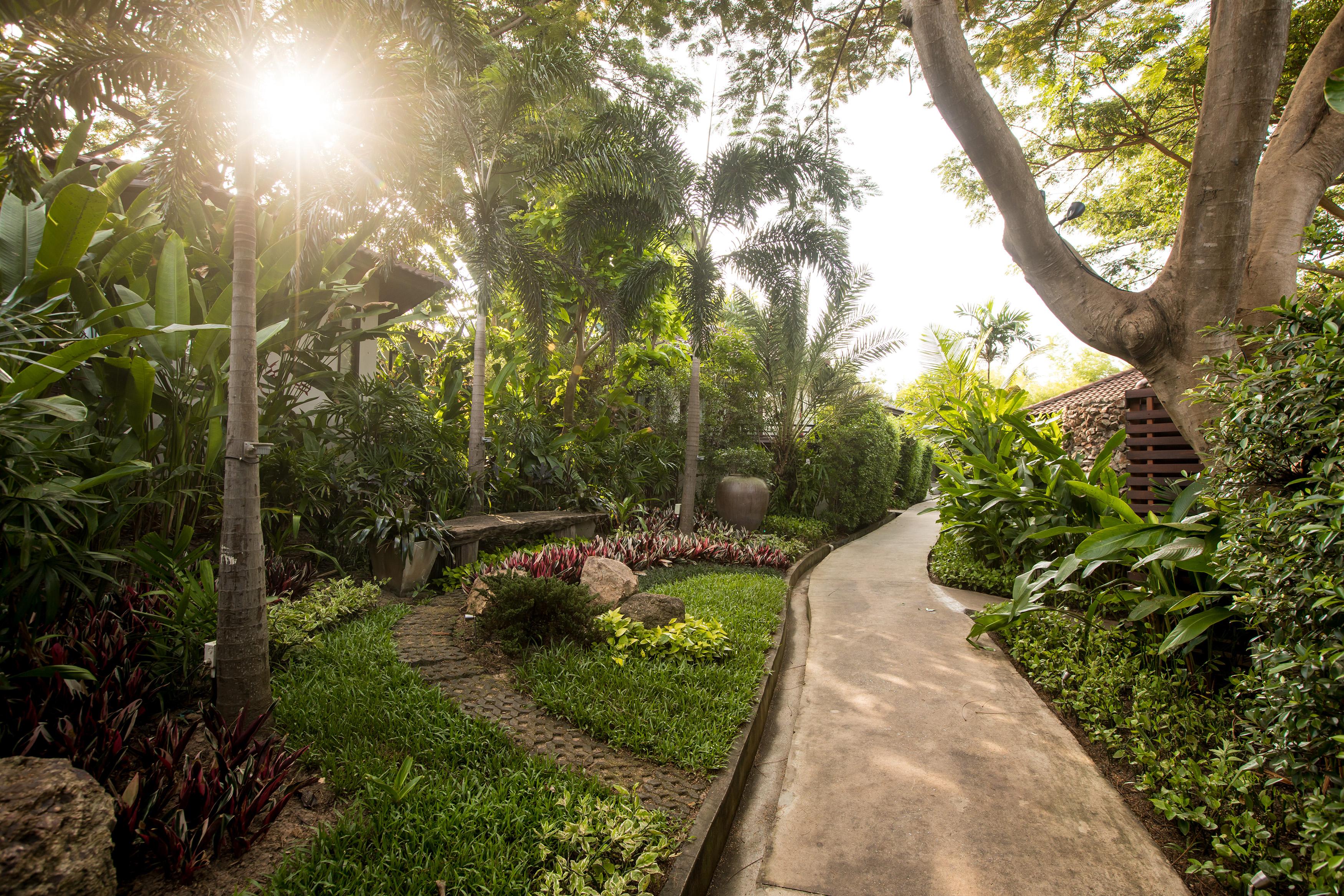 Saii Koh Samui - Adult Only 12