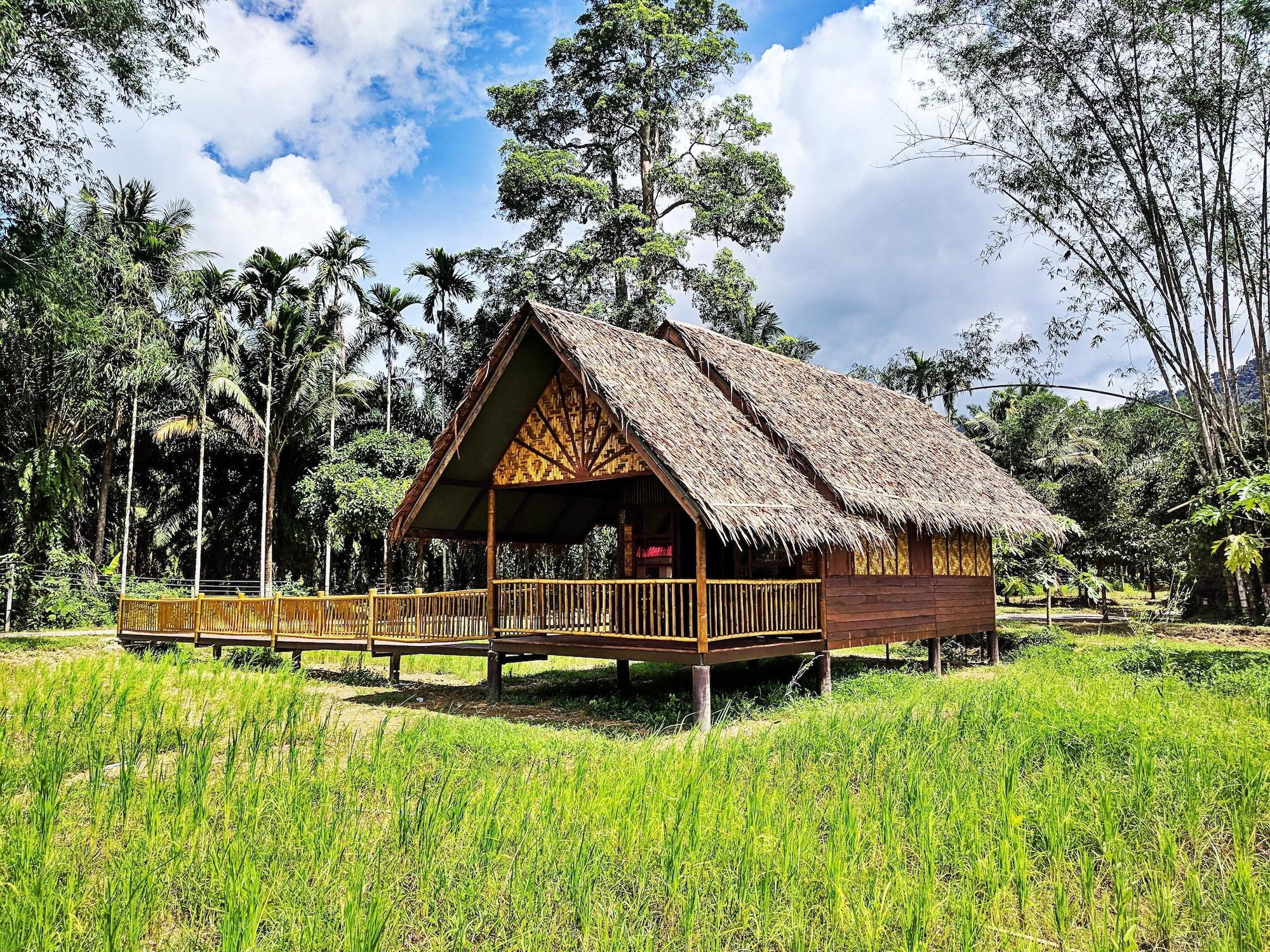 Resort Our Jungle Camp - Eco