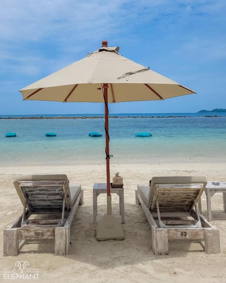Resort Elephant Club & Samui Chaweng (Koh Samui)