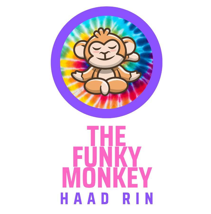 Hostel The Funky Monkey - 18 To 40 Years Old Only *