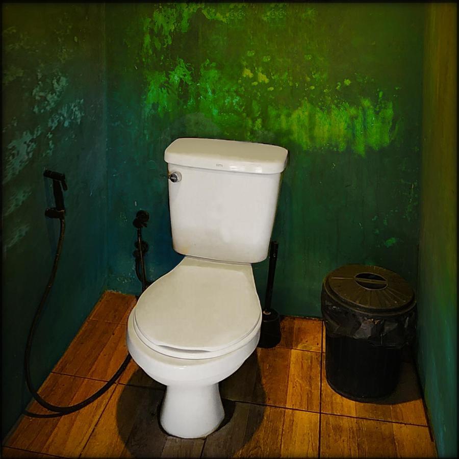 Jungle Fever Hostel