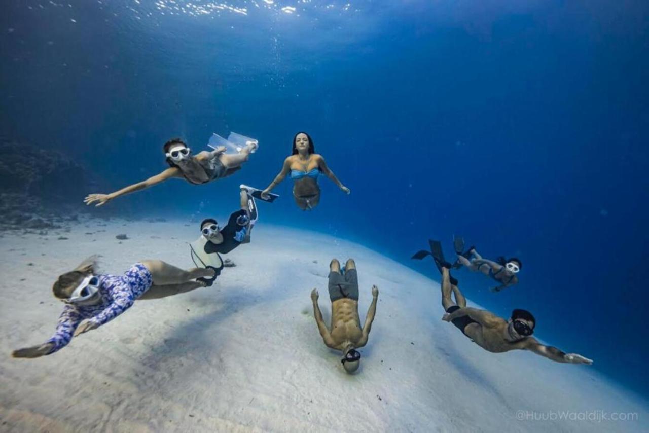 Blue Chitta Yoga & Freediving * Koh Tao