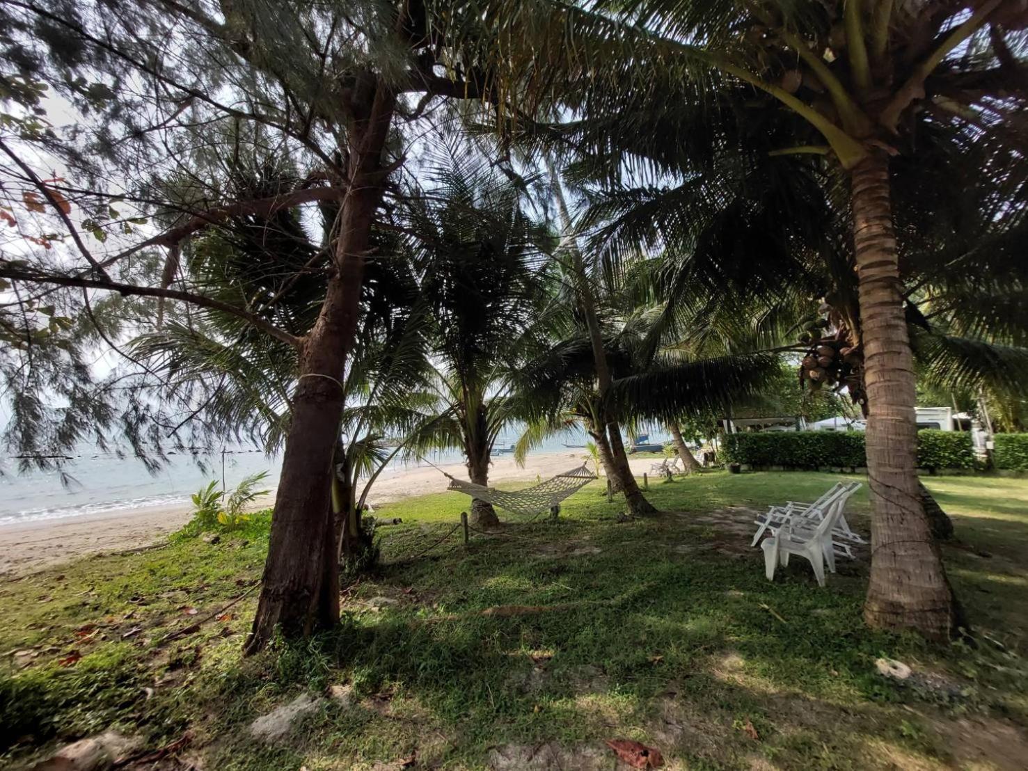 Samui Farm