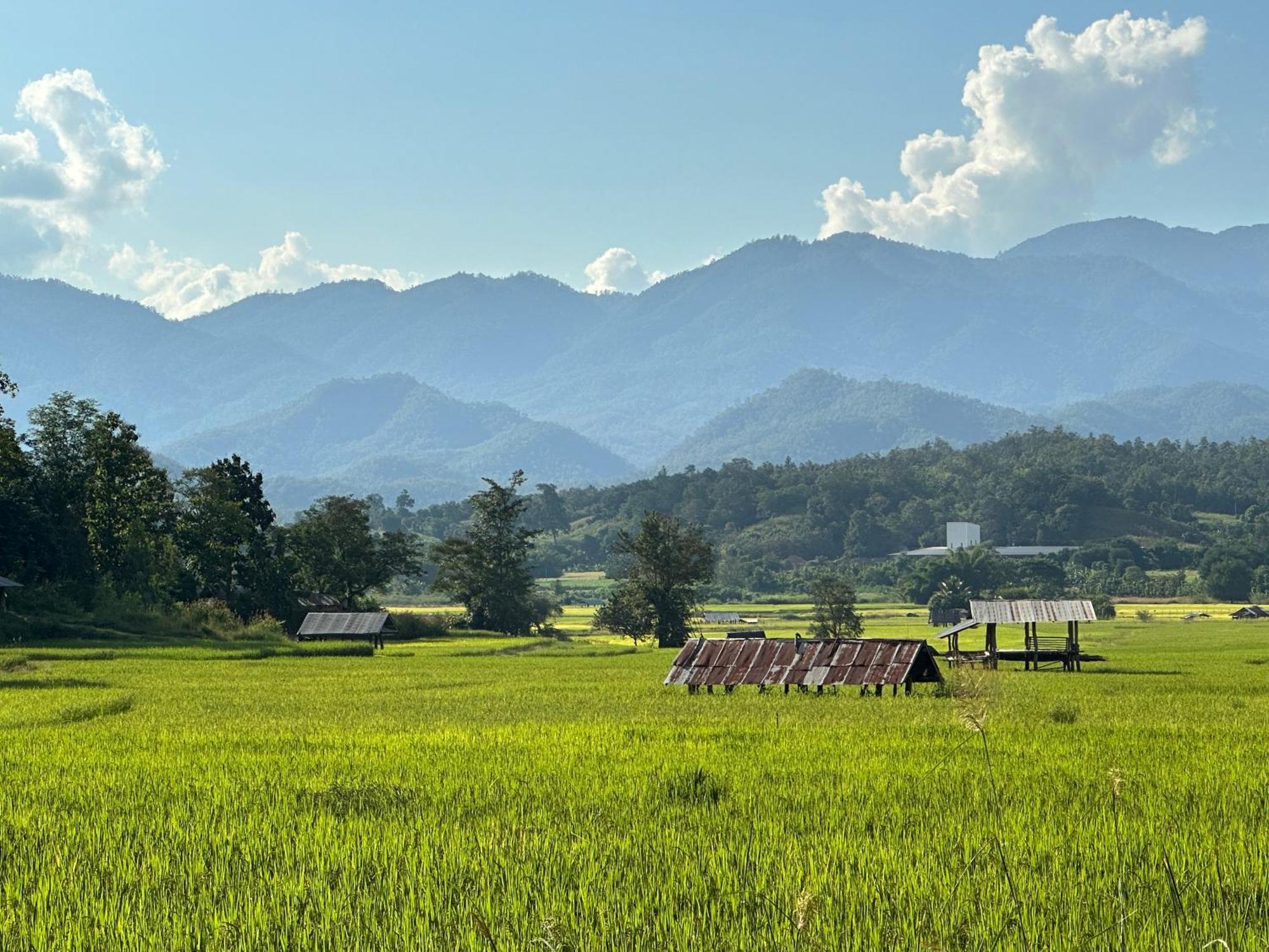 Pura Vida Resort Pai
