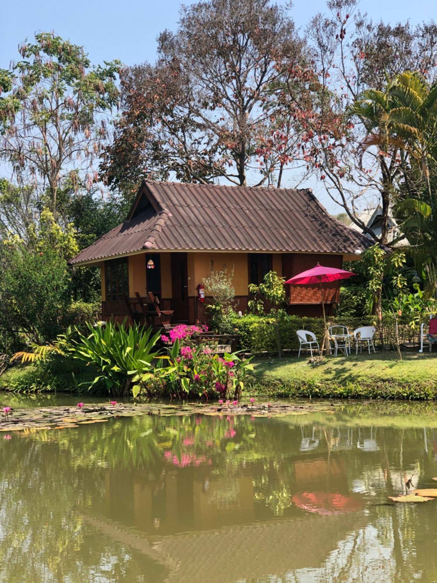 Pura Vida 3*