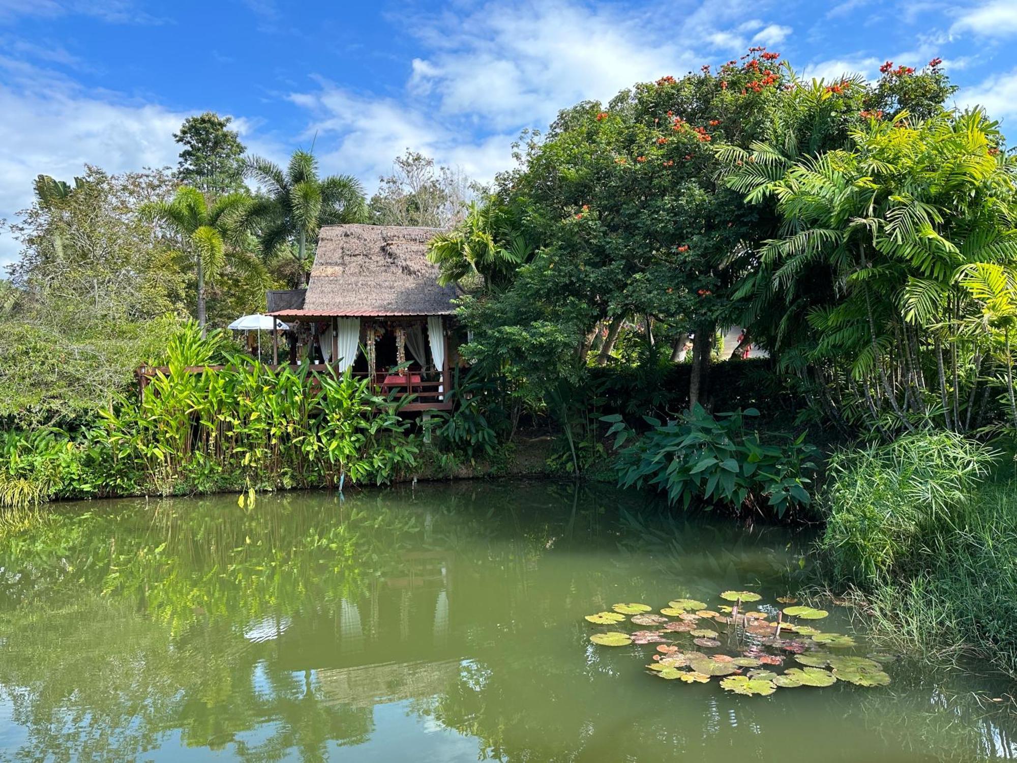 Resort Pura Vida 3*