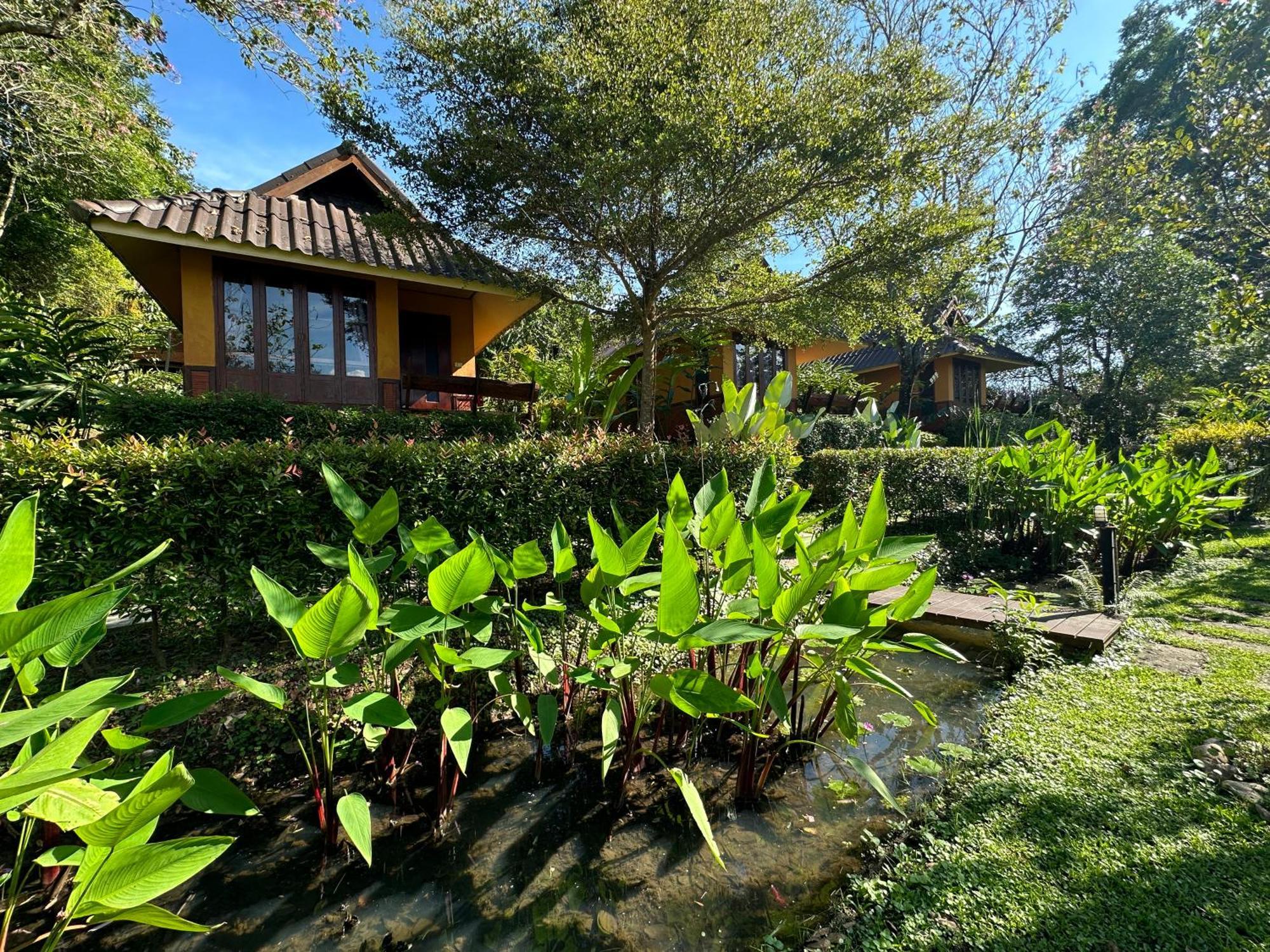 Pura Vida 3* Pai