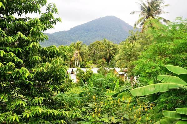 Jungle Garden Resort Hinkong