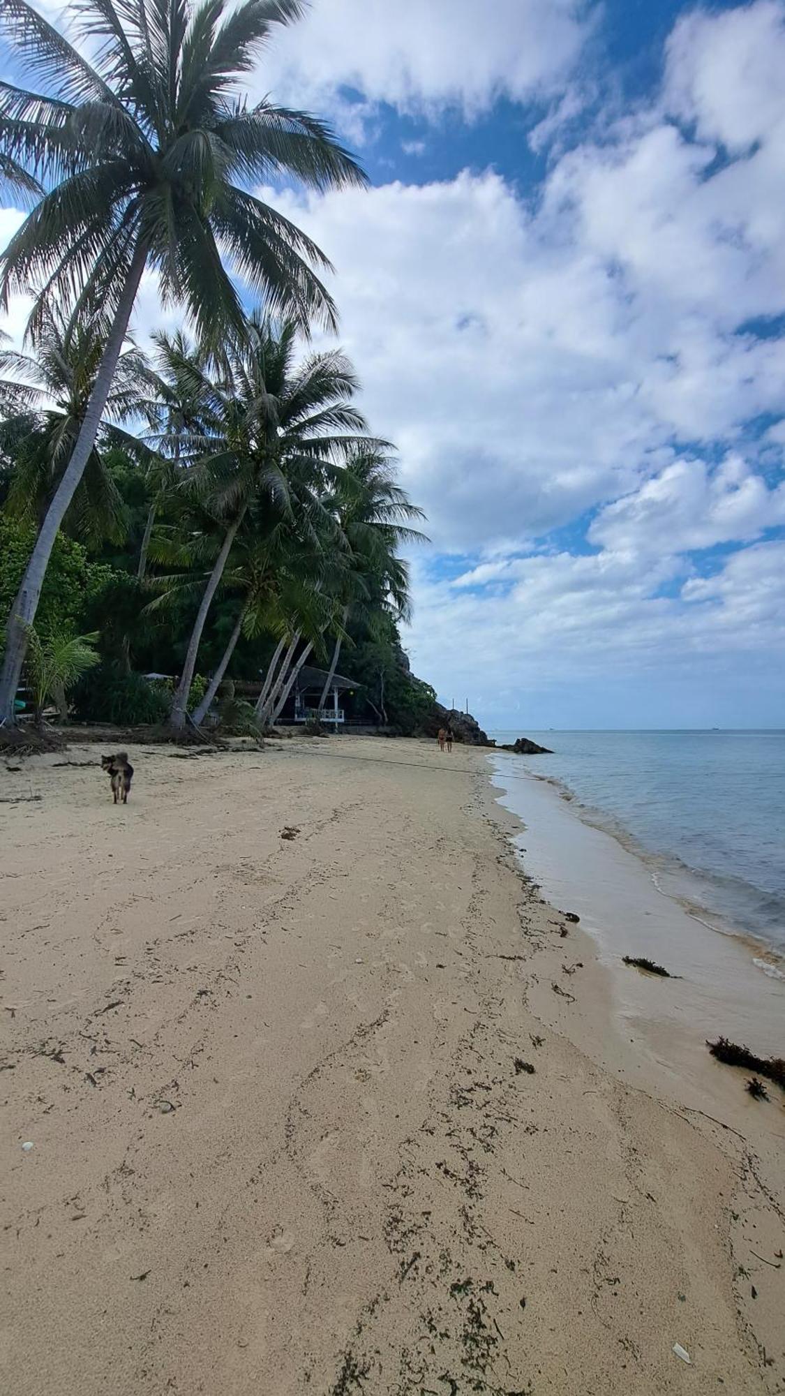Phangan Paragon & By Pure Lifestyle 3* Haad Chao Phao