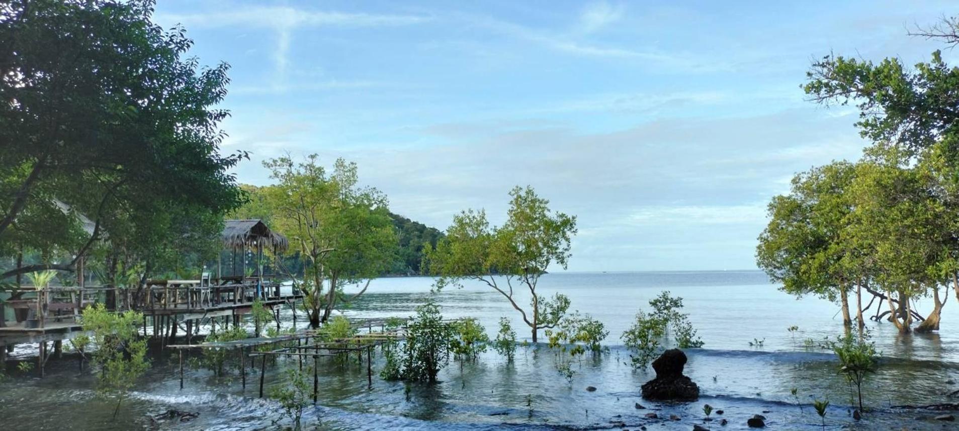 ฺbay Yard Hut *