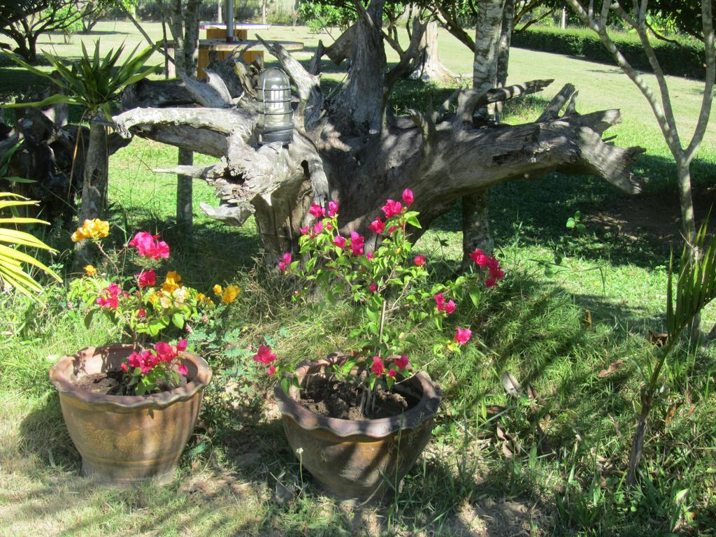 Orange Grove Resort Resort