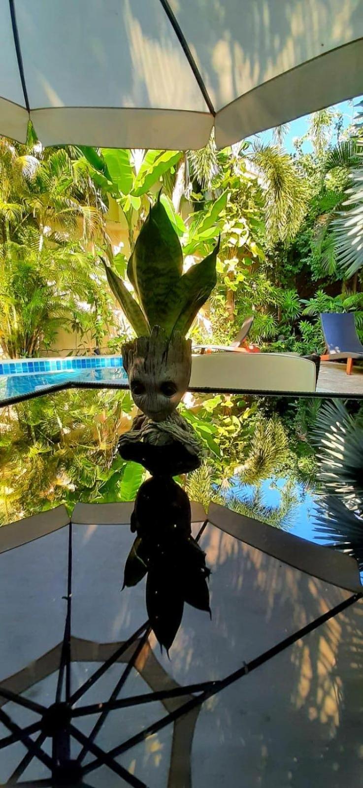 Khaolak 2k Pool