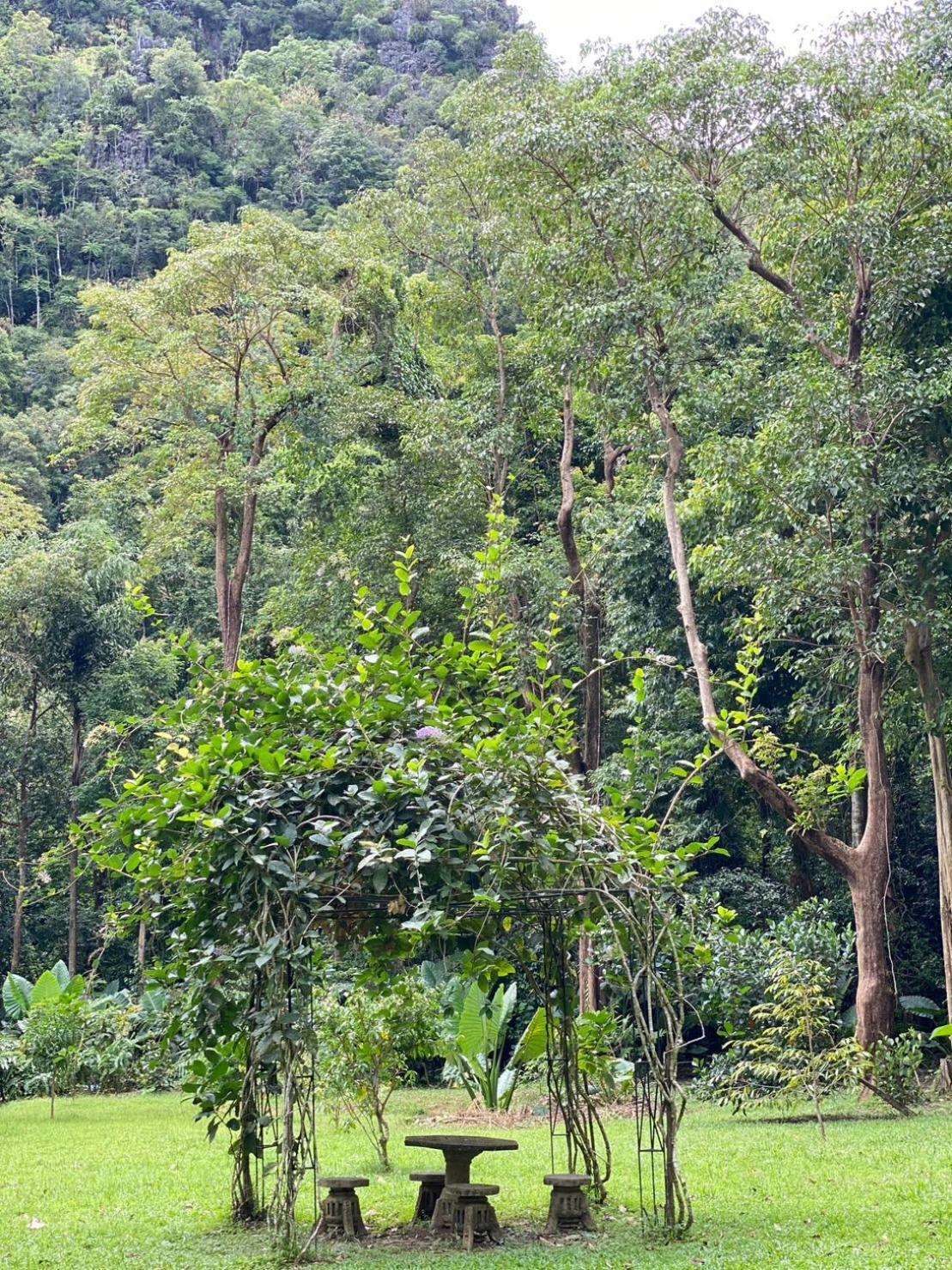Khao Sok Nature Khao Sok National Park