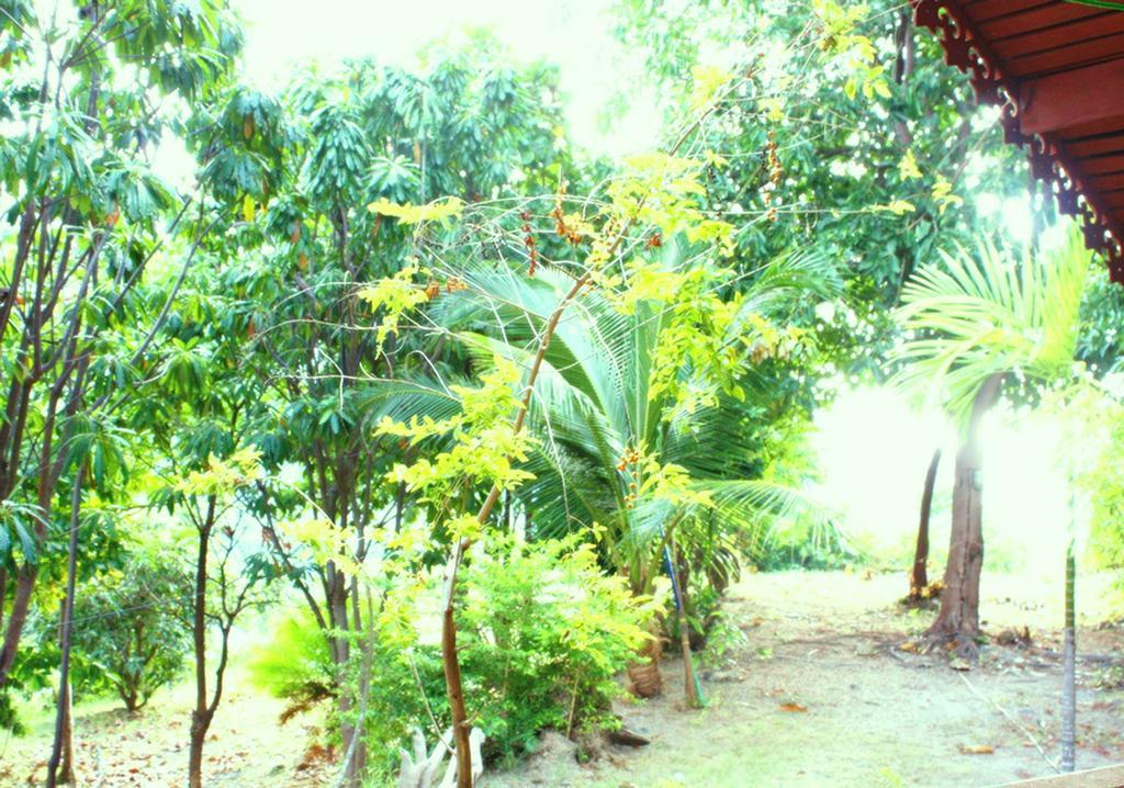 Resort Utopia House Phangan Mae Haad