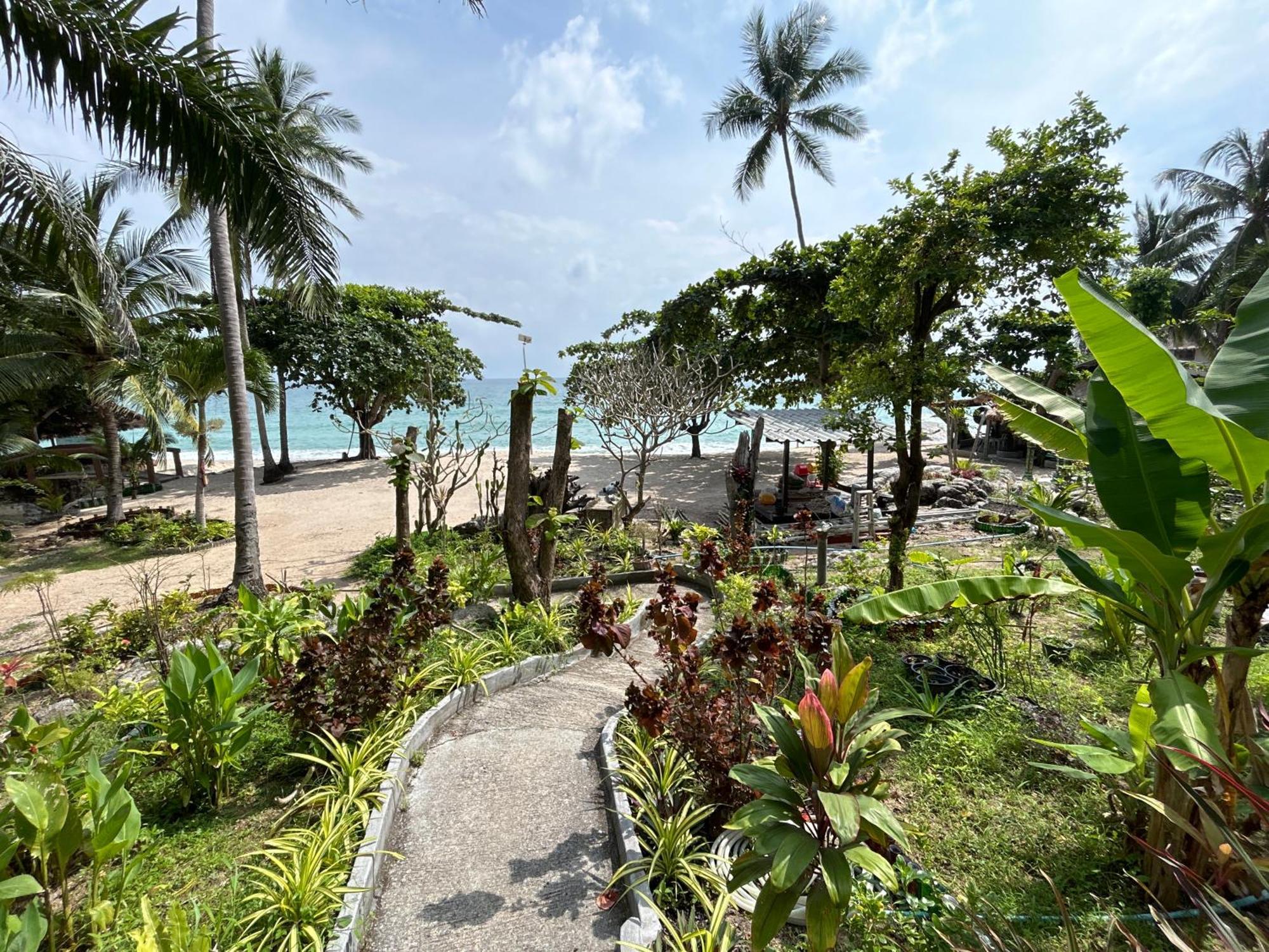 Apsara & Dragon's Supra Wellness Baan Tai