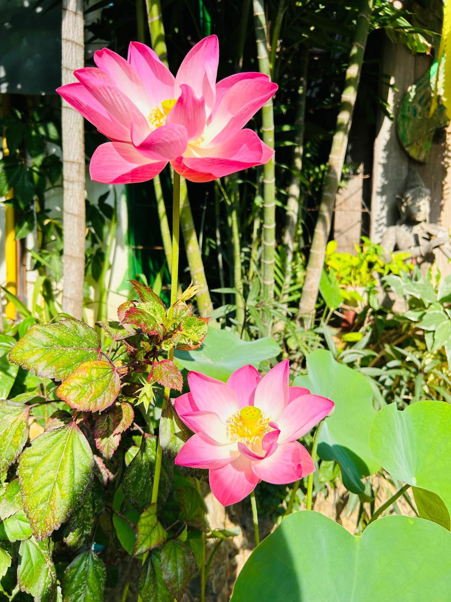 Hongkhao Village