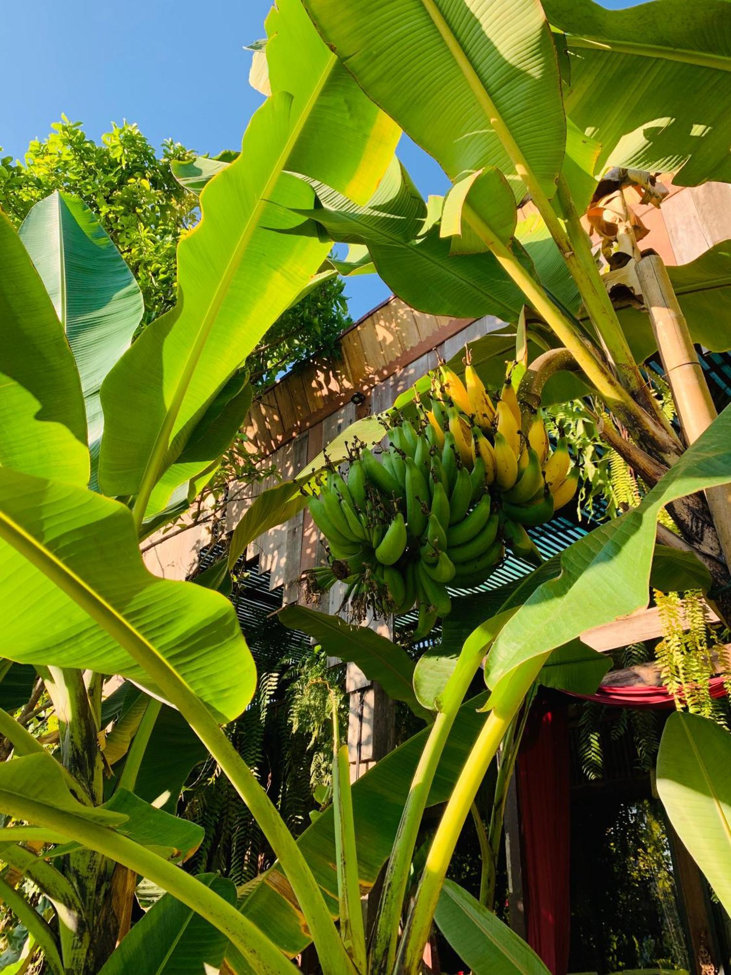 Hongkhao Village 3* Chiang Mai