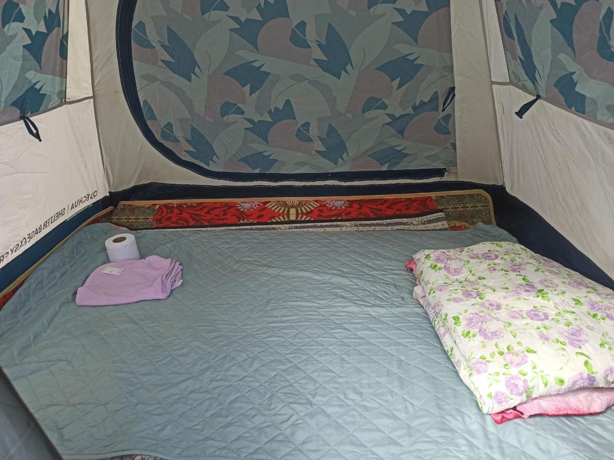 Forest Guest house
