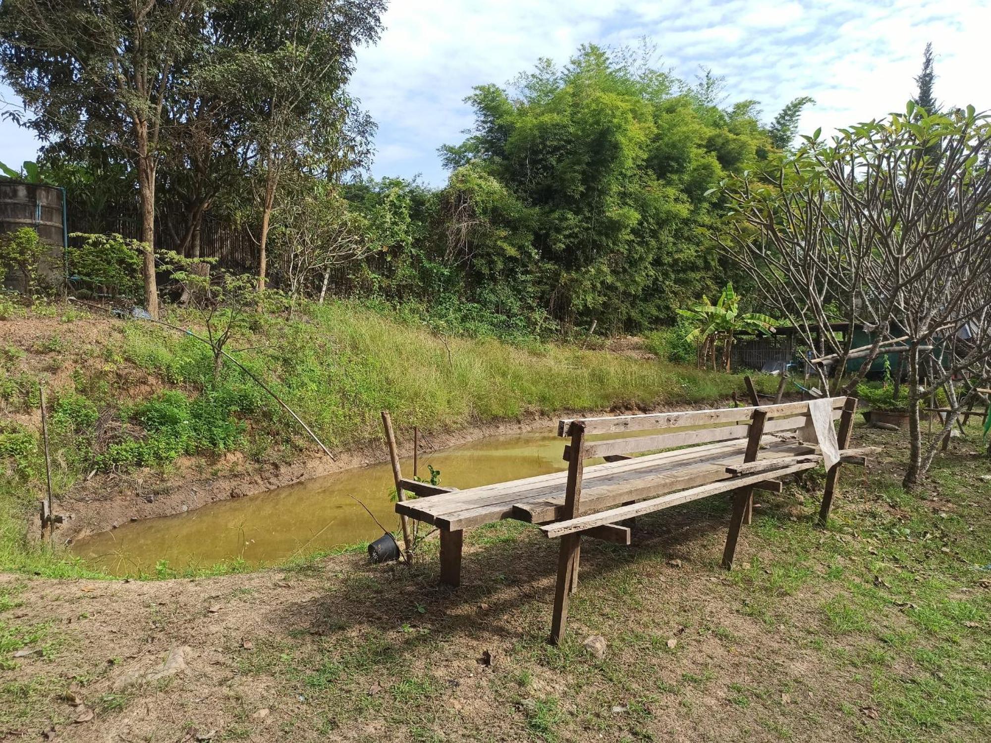 Guest house Forest Pai