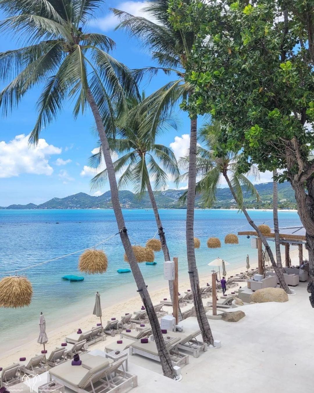 Resort Elephant Club & Samui 4*
