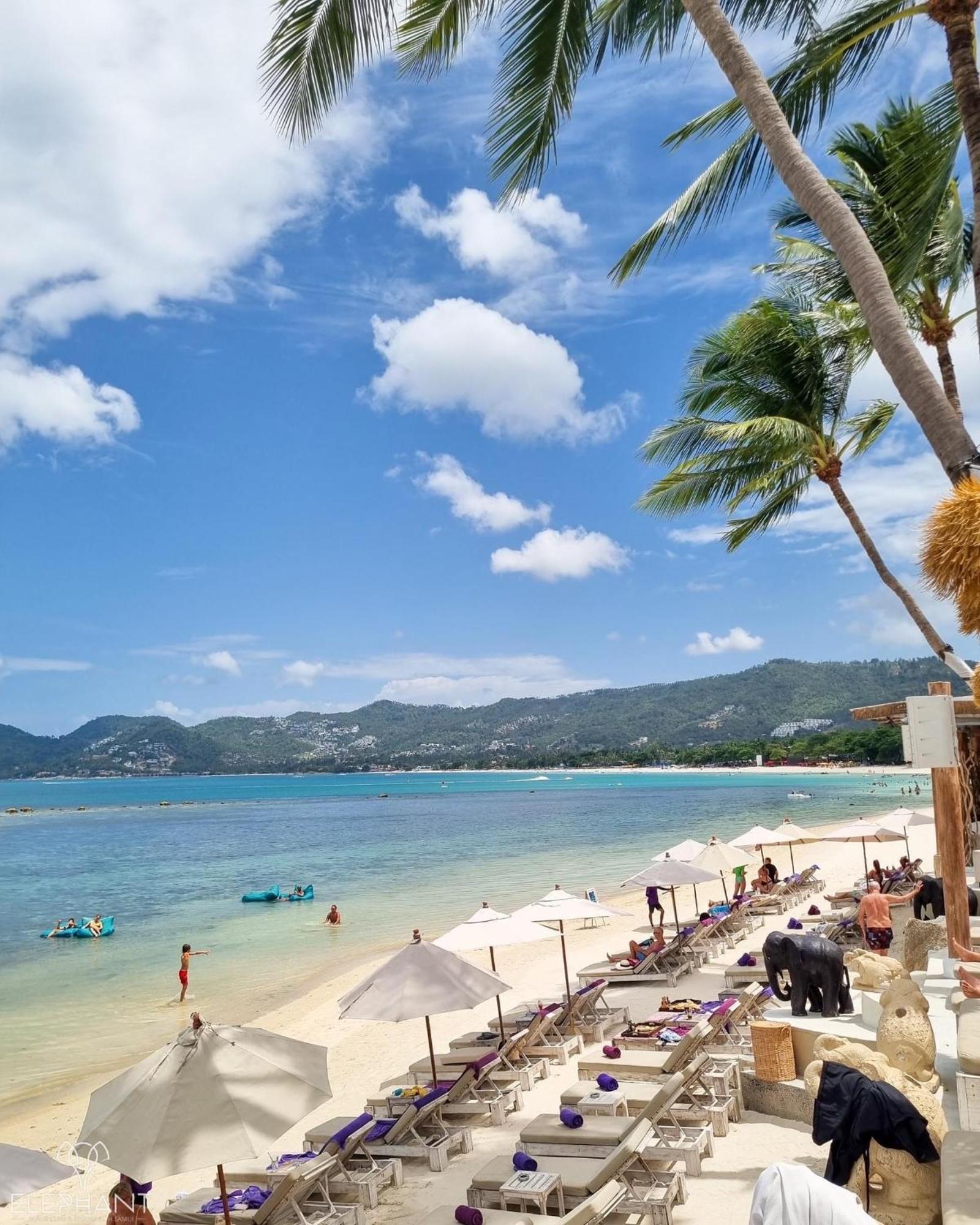 Resort Elephant Club & Samui 4*