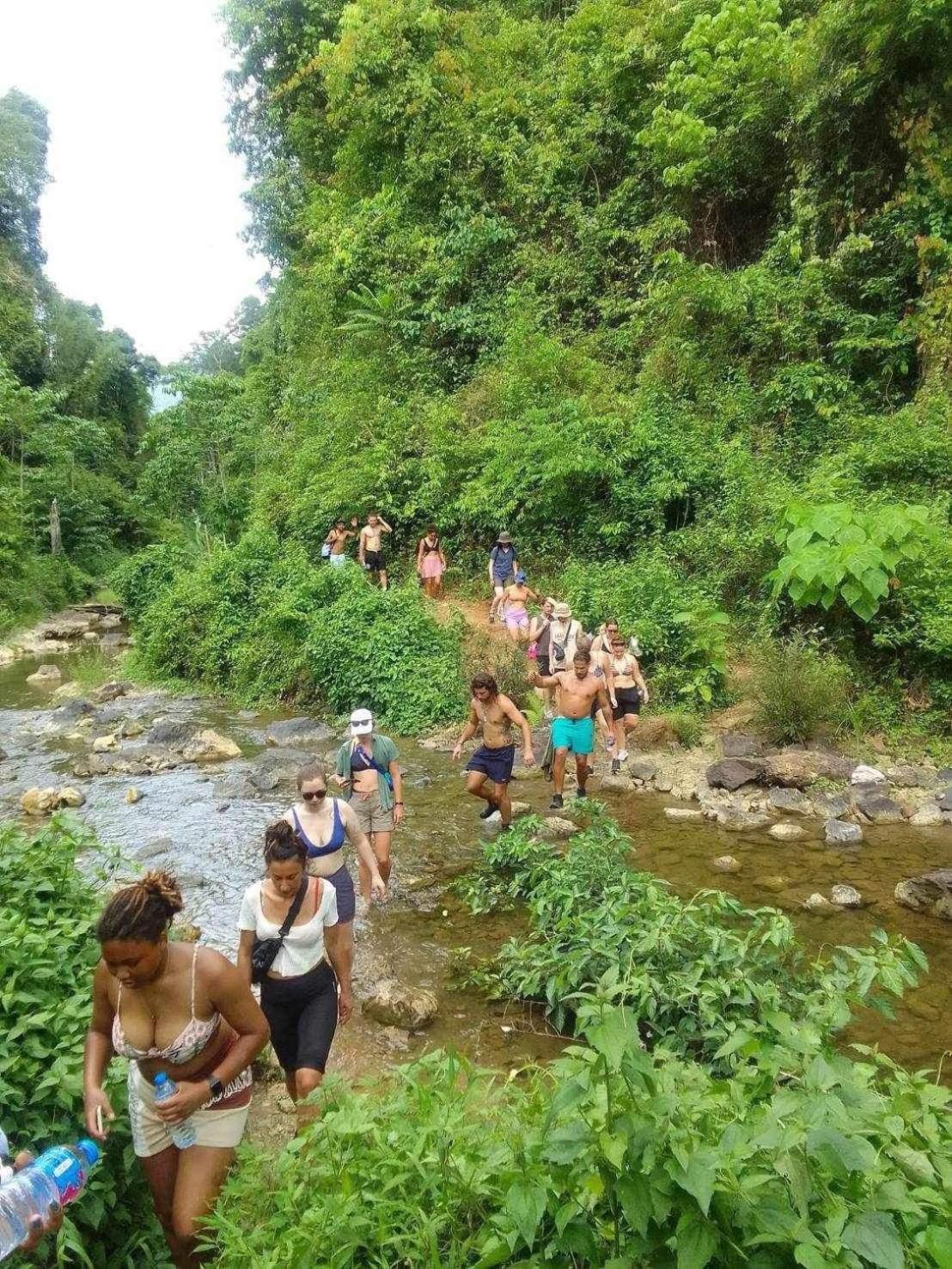 The Liveliwoods